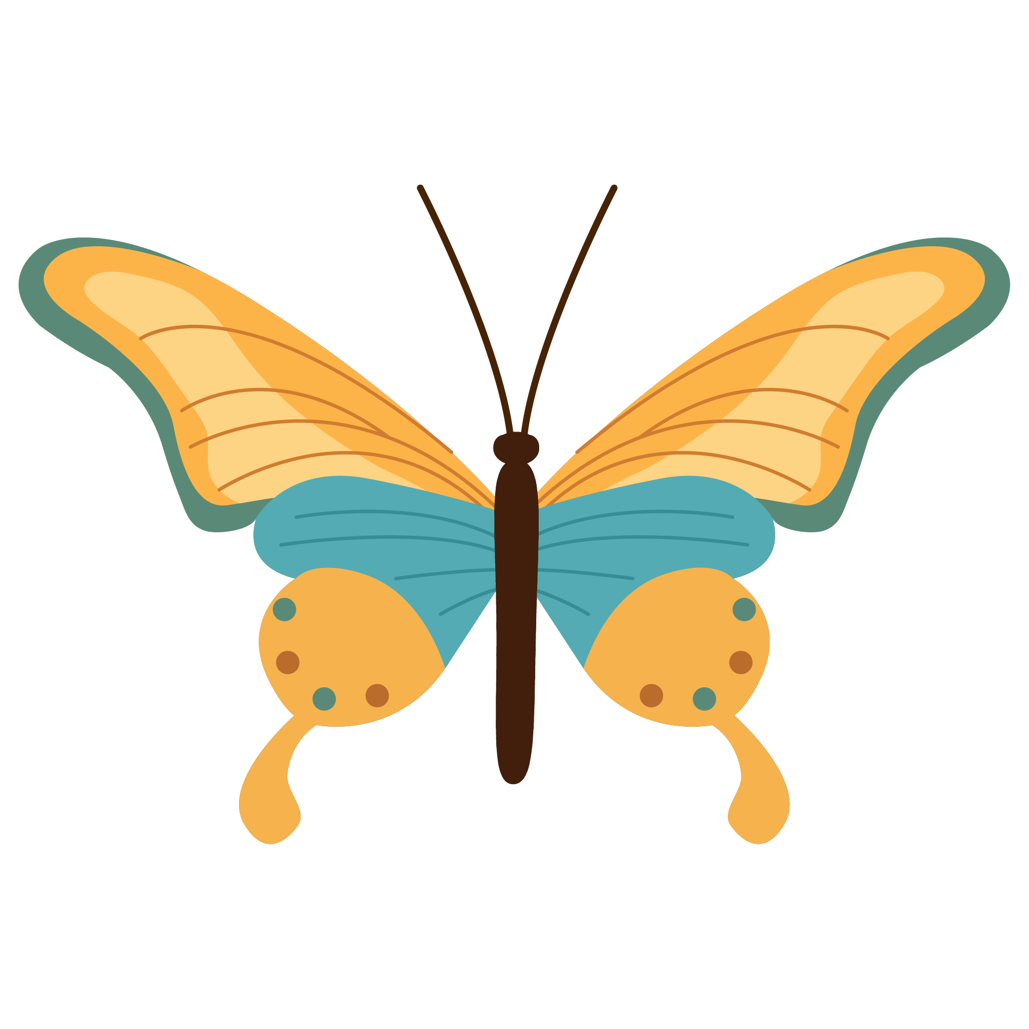 BUTTERFLY 13