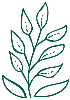 cc-leaf-symbol-green