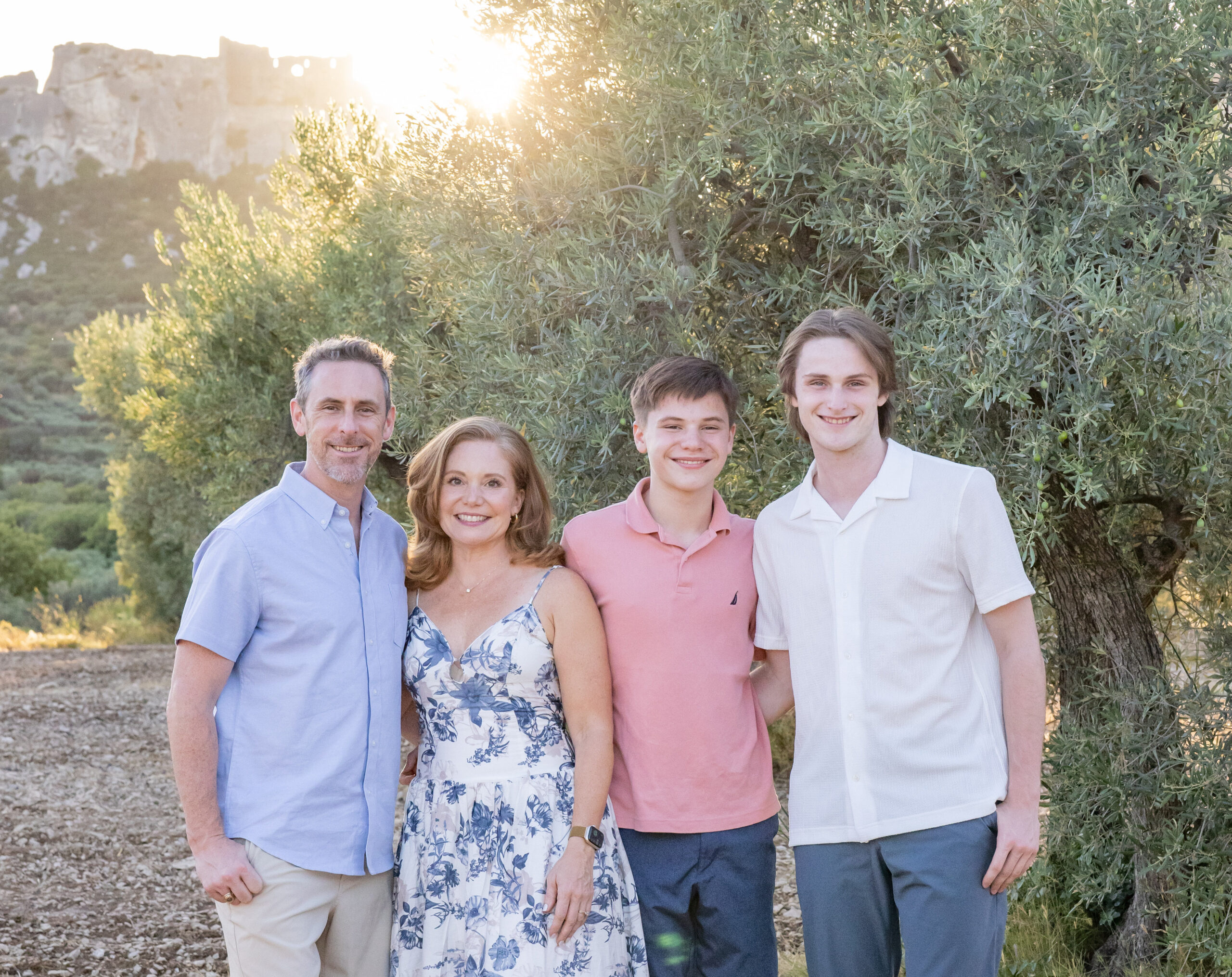 family olive trees close up